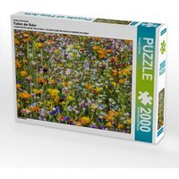 Ein Motiv aus dem Kalender Farben der Natur (Puzzle) von Calvendo Puzzle