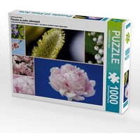 Ein Motiv aus dem Kalender Florales zu jeder Jahreszeit (Puzzle) von Calvendo Puzzle