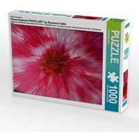 Ein Motiv aus dem Kalender Flower Explosion PHOTO ART° by Rosemarie Hofer (Puzzle) von Calvendo Puzzle