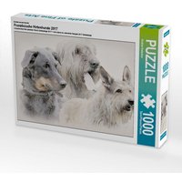 Ein Motiv aus dem Kalender Französische Hirtenhunde 2017 (Puzzle) von Calvendo Puzzle