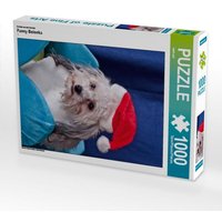 Ein Motiv aus dem Kalender Funny Bolonka (Puzzle) von Calvendo Puzzle