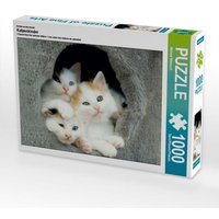 Ein Motiv aus dem Kalender Katzenkinder (Puzzle) von Calvendo Puzzle
