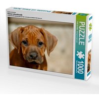 Ein Motiv aus dem Kalender Kleine Löwenhunde (Puzzle) von Calvendo Puzzle