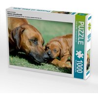 Ein Motiv aus dem Kalender Kleine Löwenhunde (Puzzle) von Calvendo Puzzle
