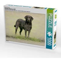 Ein Motiv aus dem Kalender Labrador Retriever 2017 (Puzzle) von Calvendo Puzzle