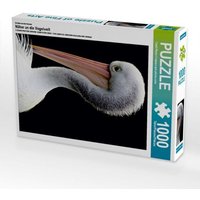 Ein Motiv aus dem Kalender Näher an die Vogelwelt (Puzzle) von Calvendo Puzzle