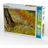 Ein Motiv aus dem Kalender Natur - im Detail (Puzzle) von Calvendo Puzzle