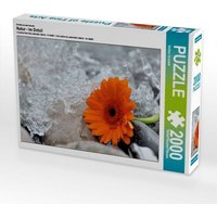 Ein Motiv aus dem Kalender Natur - im Detail (Puzzle) von Calvendo Puzzle