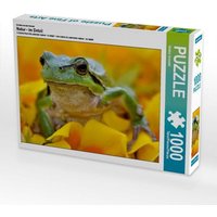 CALVENDO Puzzle Ein Motiv aus dem Kalender Natur - im Detail 1000 Teile Lege-Größe 64x48cm Foto-Puzzle für glückliche Stunden von Calvendo Puzzle