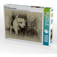 Ein Motiv aus dem Kalender Parson Jack Russel Welpen (Puzzle) von Calvendo Puzzle