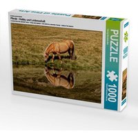 Ein Motiv aus dem Kalender Pferde - Hobby und Leidenschaft (Puzzle) von Calvendo Puzzle