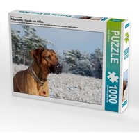Ein Motiv aus dem Kalender Ridgebacks - Hunde aus Afrika (Puzzle) von Calvendo Puzzle