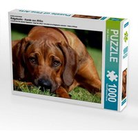 Ein Motiv aus dem Kalender Ridgebacks - Hunde aus Afrika (Puzzle) von Calvendo Puzzle