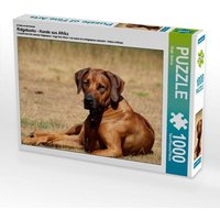 Ein Motiv aus dem Kalender Ridgebacks - Hunde aus Afrika (Puzzle) von Calvendo Puzzle
