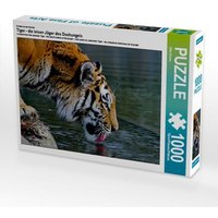 Ein Motiv aus dem Kalender Tiger - die leisen Jäger des Dschungels (Puzzle) von Calvendo Puzzle