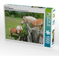 Ein Motiv aus dem Kalender Tiroler Langmähnen (Puzzle) von Calvendo Puzzle