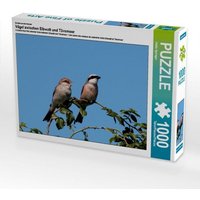 Ein Motiv aus dem Kalender Vögel zwischen Elbwatt und Tävsmoor (Puzzle) von Calvendo Puzzle