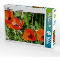 Ein Motiv aus dem Kalender Voll Mohn (Puzzle) von Calvendo Puzzle