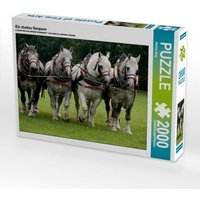 Ein starkes Gespann (Puzzle) von Calvendo Puzzle