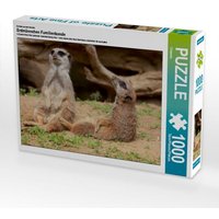 Einfach mal relaxen!, 1000 Teile von Calvendo Puzzle