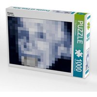 CALVENDO Puzzle Einstein 1000 Teile Puzzle quer 1000 Teile Lege-Größe 64 × 48 cm Foto-Puzzle für glückliche Stunden von Calvendo P