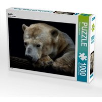 Eisbär (Puzzle) von Calvendo Puzzle