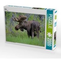 Elch (Puzzle) von Calvendo
