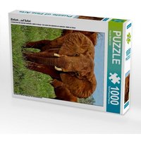 Elefant....auf Safari (Puzzle) von Calvendo Puzzle