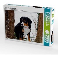 Entlebucher Sennenhund (Puzzle) von Calvendo Puzzle