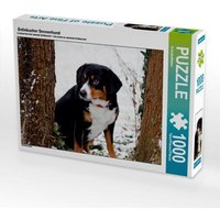 Entlebucher Sennenhund (Puzzle) von Calvendo Puzzle