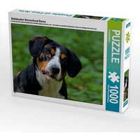 Entlebucher Sennenhund Emma (Puzzle) von Calvendo Puzzle