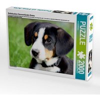 Entlebucherr Sennenhündin Emma (Puzzle) von Calvendo Puzzle