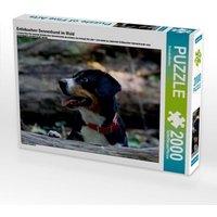 Entlebucherr Sennenhund im Wald (Puzzle) von Calvendo Puzzle