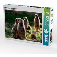 Erdmännchen - Immer wachsam (Puzzle) von Calvendo Puzzle