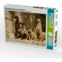 Erdmännchen gemeinsam auf Wachposten (Puzzle) von Calvendo Puzzle