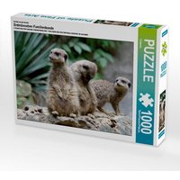Erdmännchen - kleine Wachposten, 1000 Teile Erdmännchen - kleine Wachposten, 1000 Teile von Calvendo Puzzle