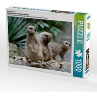 Erdmännchen - kleine Wachposten, 1000 Teile von Calvendo Puzzle