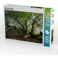 Erstes Grün im April, 1000 Teile Erstes Grün im April, 1000 Teile von Calvendo Puzzle