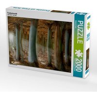Fantasiewald (Puzzle) von Calvendo Puzzle