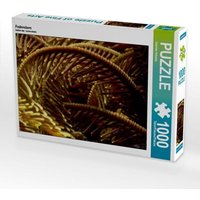 Federstern (Puzzle) von Calvendo Puzzle