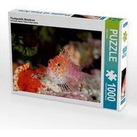 Fischporträt, Malediven (Puzzle) von Calvendo Puzzle