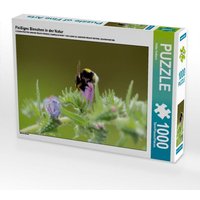 Fleißiges Bienchen in der Natur (Puzzle) von Calvendo Puzzle