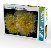 Flower Explosion I PHOTO ART° by Rosemarie Hofer (Puzzle) von Calvendo Puzzle