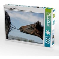 Fohlen - für jeden Spaß zu haben (Puzzle) von Calvendo Puzzle
