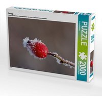Frostig (Puzzle) von Calvendo Puzzle