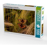 Fuchs-Schmetterlingspaar im Weizenfeld (Puzzle) von Calvendo Puzzle