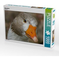 Gänseblick (Puzzle) von Calvendo Puzzle