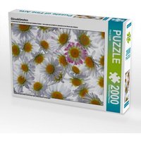 CALVENDO Puzzle Gänseblümchen 2000 Teile Lege-Größe 90x67cm Foto-Puzzle für glückliche Stunden von Calvendo Puzzle