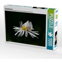CALVENDO Puzzle Gänseblümchen 1000 Teile Lege-Größe 64x48cm Foto-Puzzle für glückliche Stunden von Calvendo Puzzle