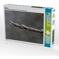 Gefroren (Puzzle) von Calvendo Puzzle